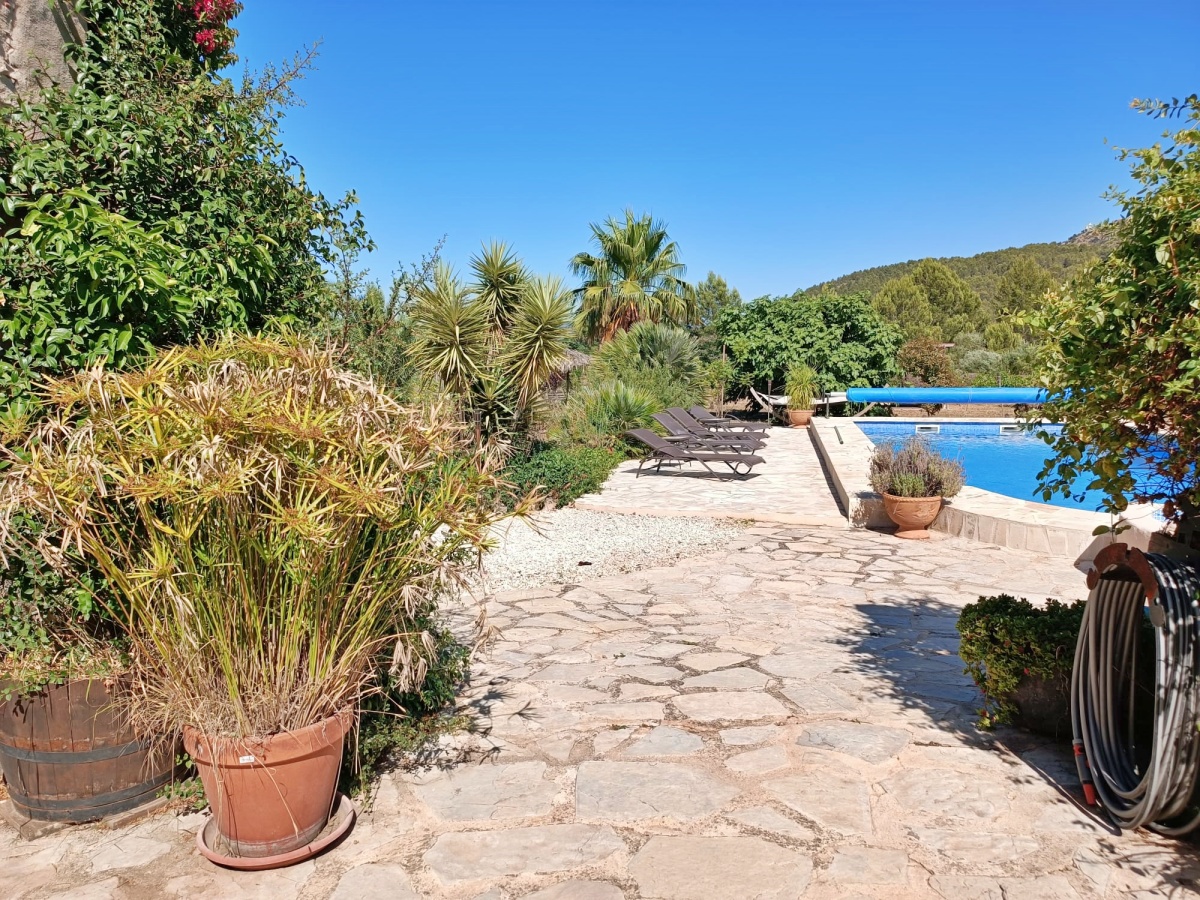 Finca For Sale in Jalon Valley